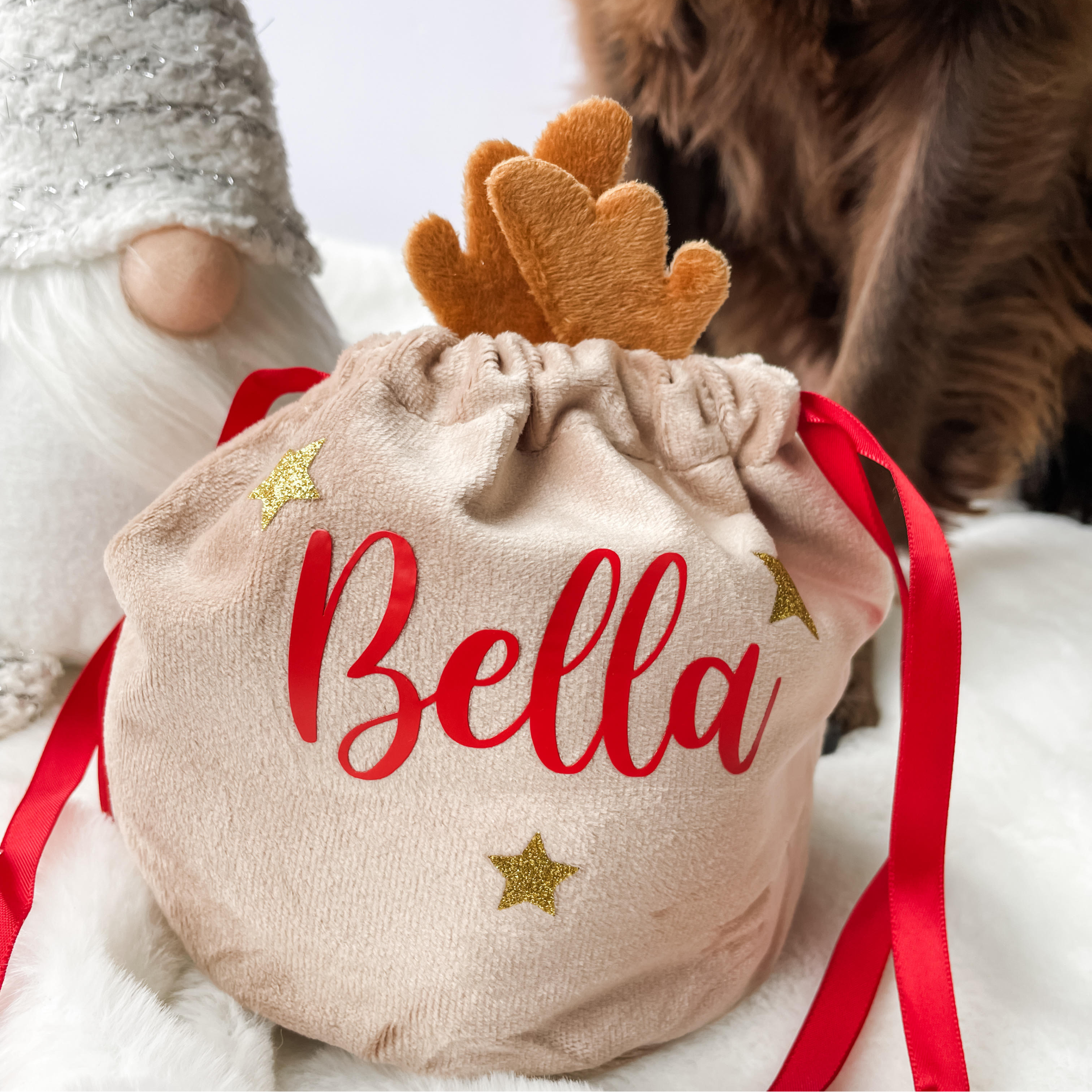 Personalised reindeer Christmas dog treat bag featuring a custom dog name detail, ideal as a festive pet gift pouch.