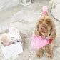 Dog Birthday Gift