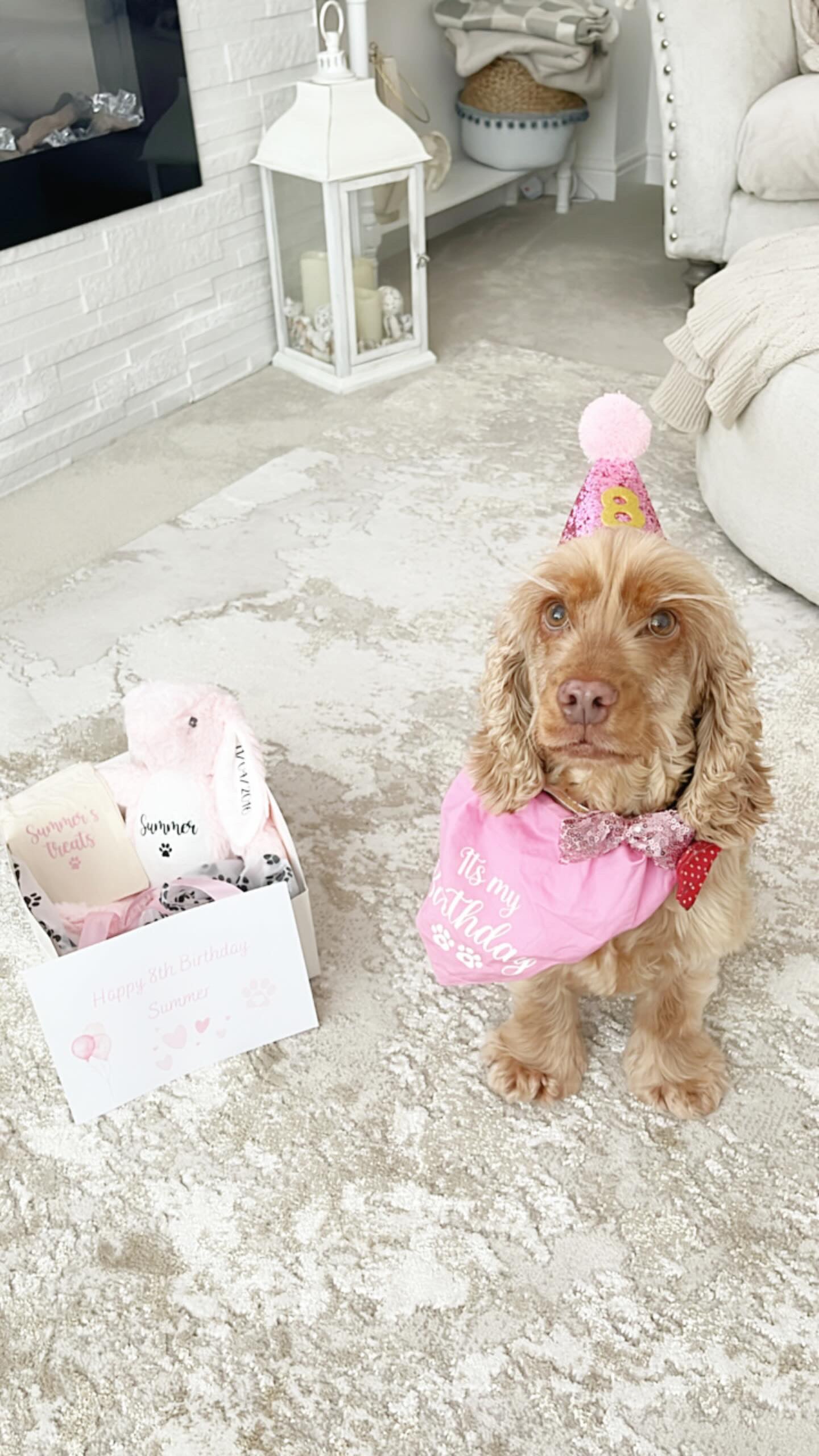 Dog Birthday Gift