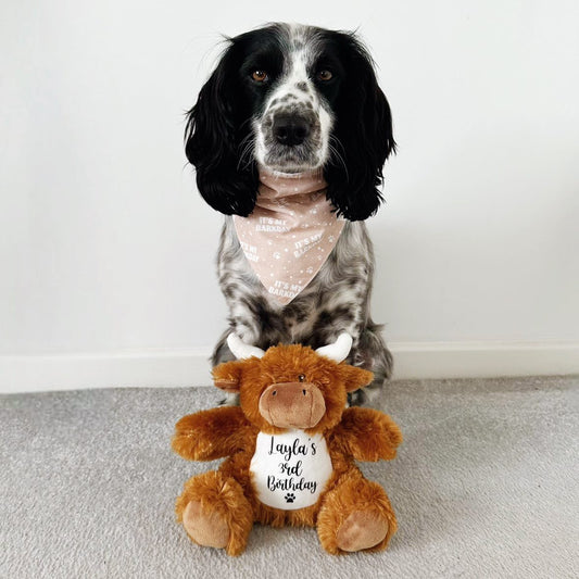 Personalised Dog Toy