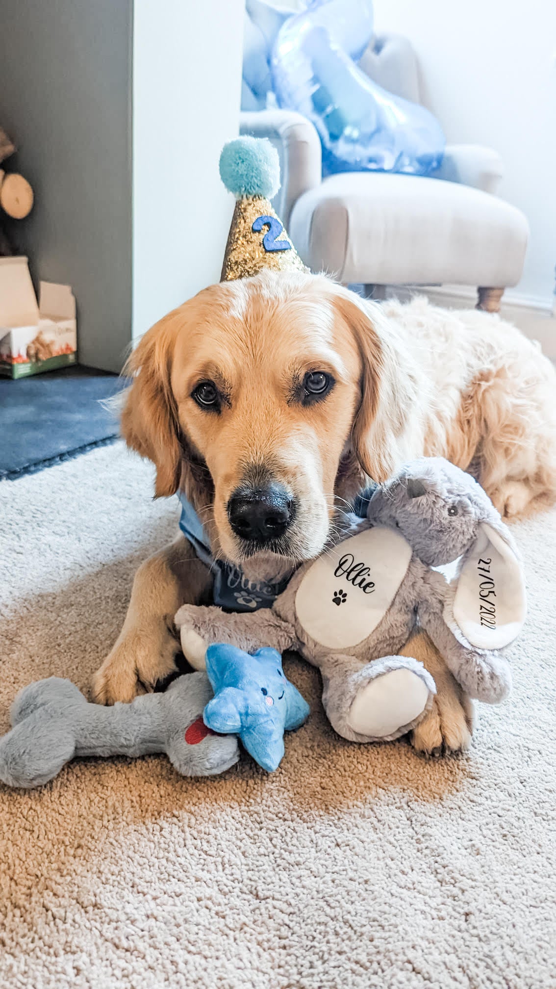 Dog Birthday Hamper