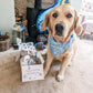 Dog Birthday Hamper