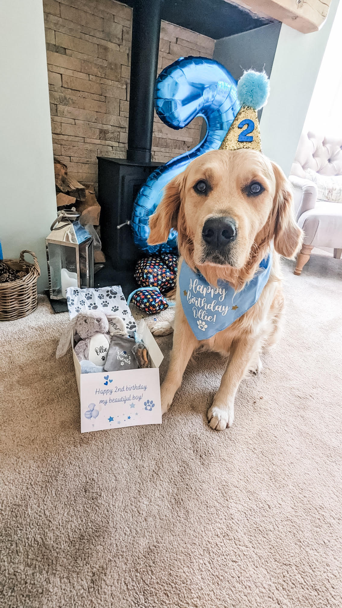 Dog Birthday Hamper