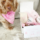 Dog Birthday Gift