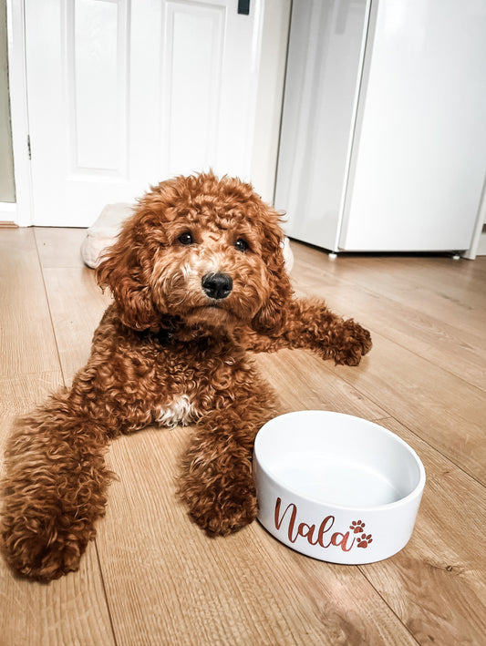 Personalised Pet Bowl