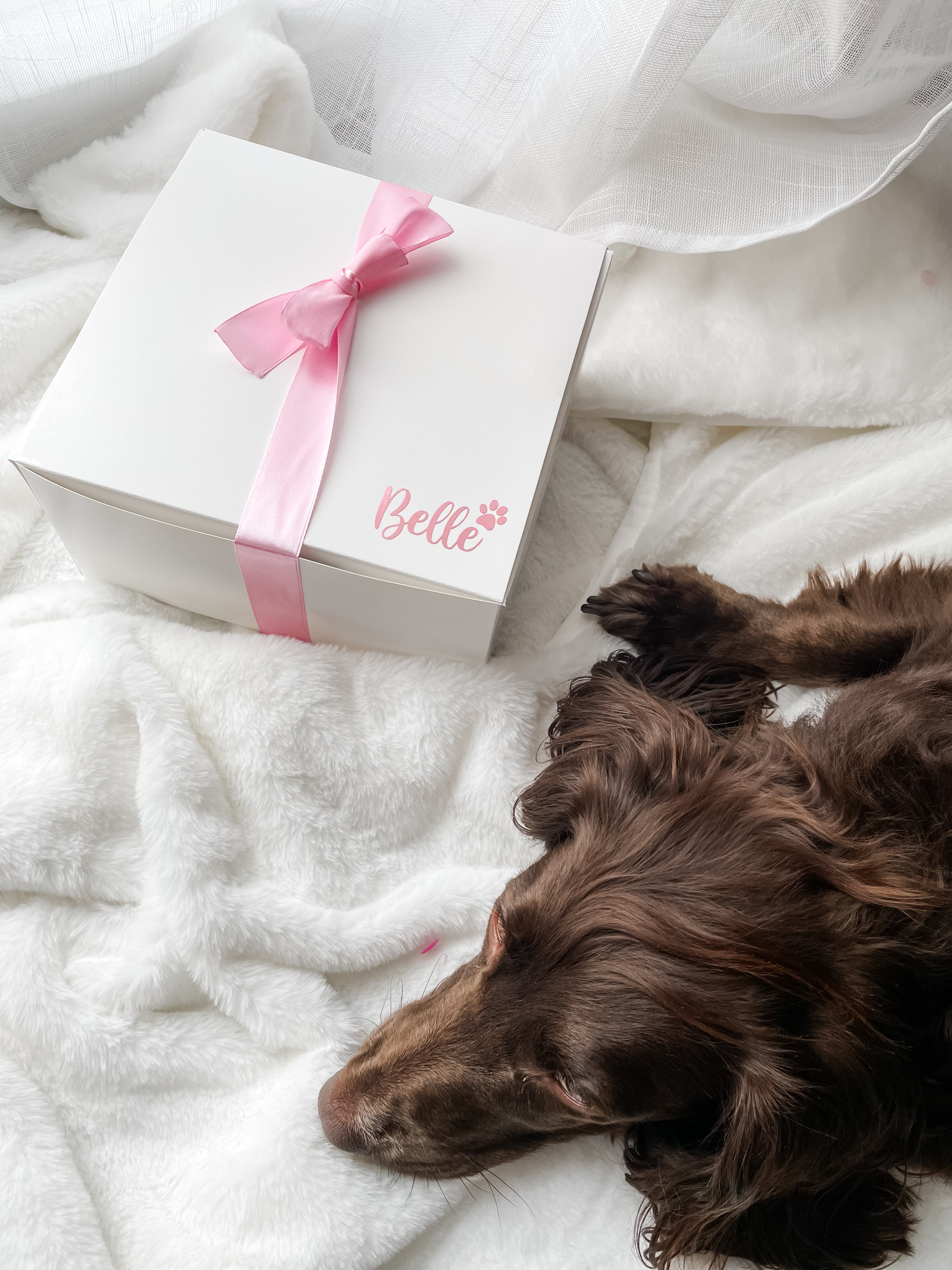 Personalised pink dog birthday hamper with a happy dog celebrating. Dog birthday gift.