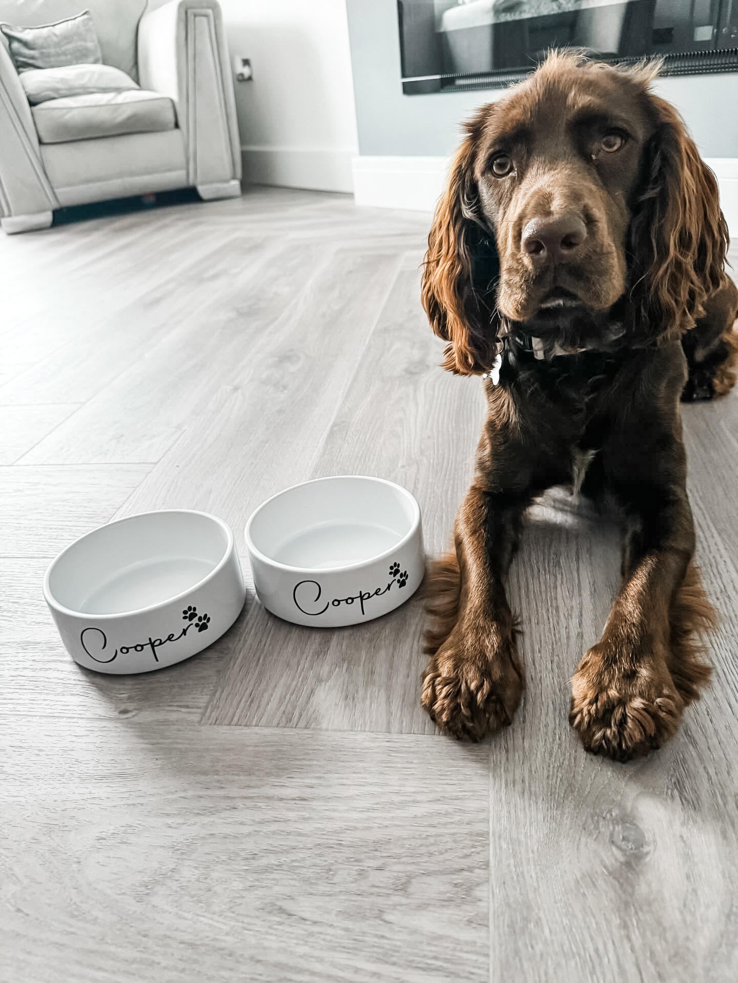 Personalised Pet Bowl Paws Peonies