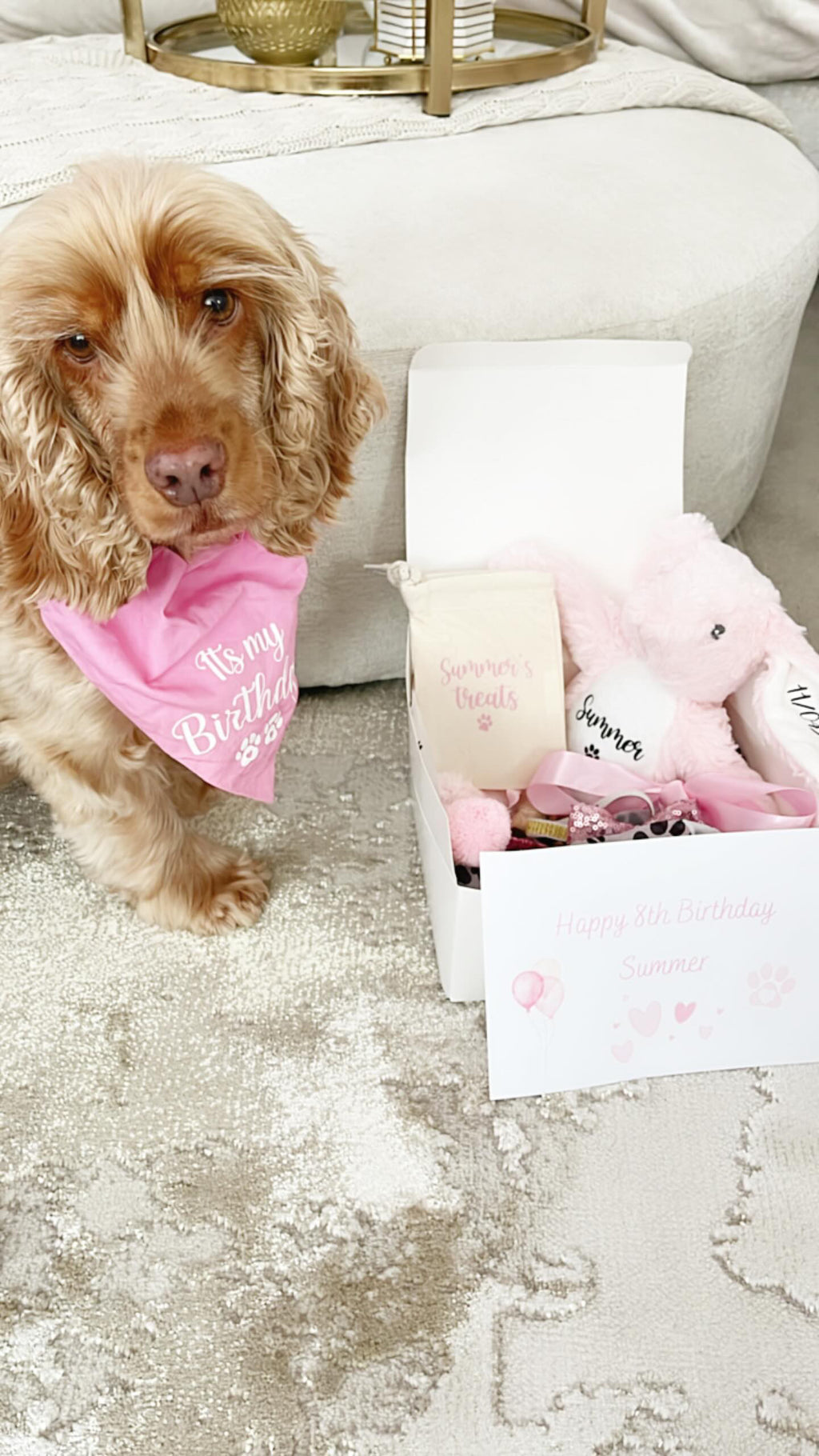 Cocker Spaniel beside luxury personalised dog birthday hamper with personalised dog toy and custom dog birthday gifts.