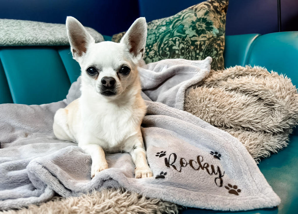 Dog resting peacefully on a personalised grey fleece blanket with custom name. Personalised dog gift.