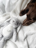 Cocker Spaniel relaxing with a personalised bunny dog toy featuring custom name and birthday. Personalised dog birthday gift.