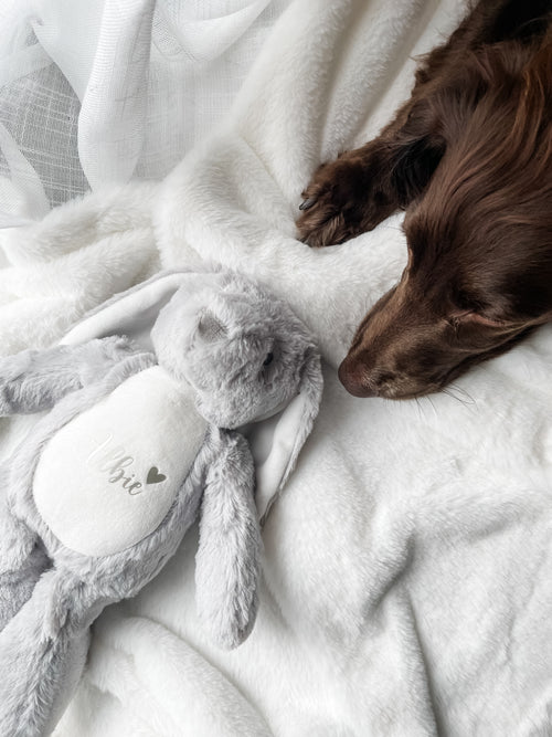 Cocker Spaniel relaxing with a personalised bunny dog toy featuring custom name and birthday. Personalised dog birthday gift.