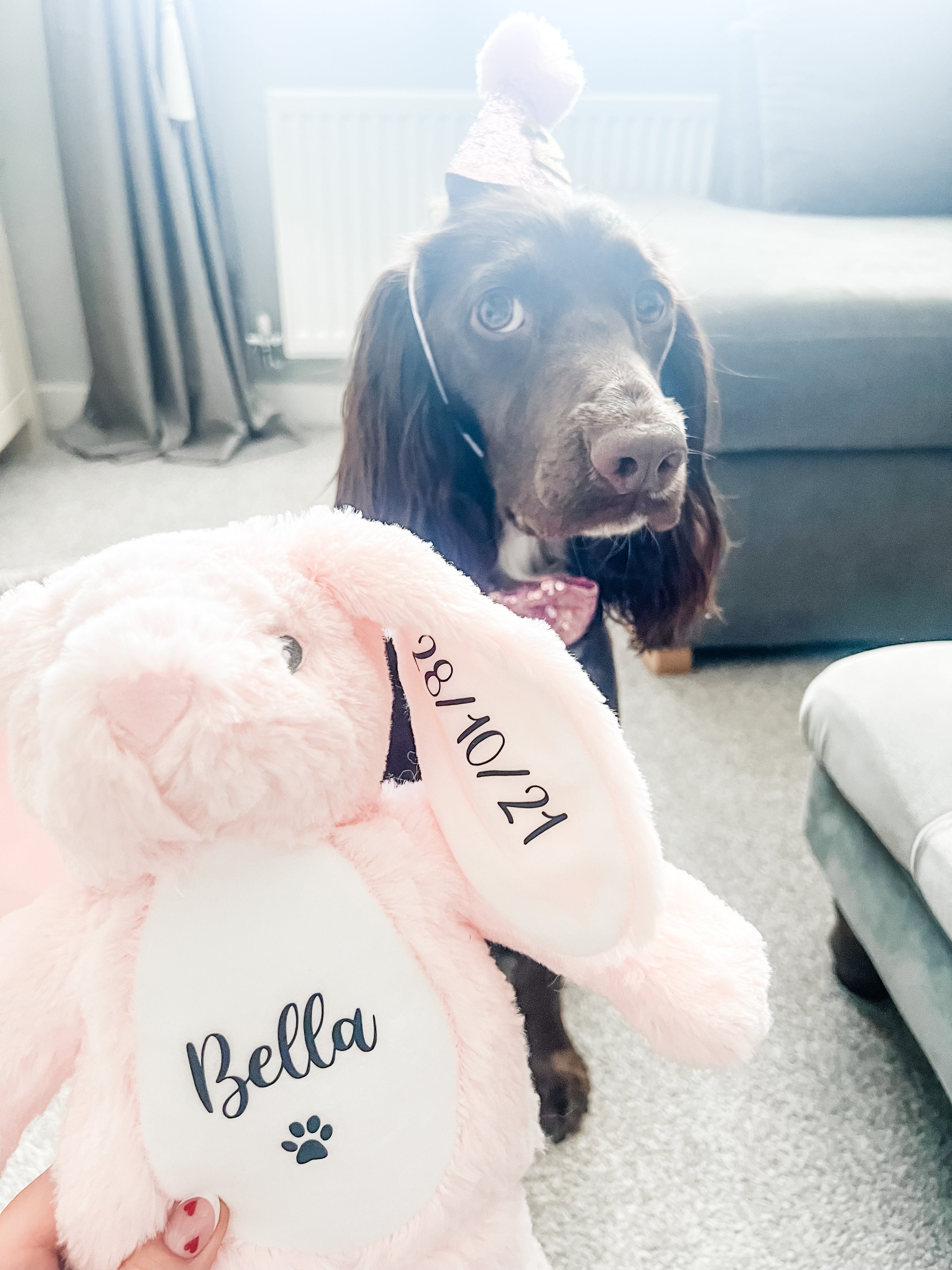 Cocker Spaniel wearing birthday hat and bow tie beside personalised bunny. Luxury dog birthday gift.