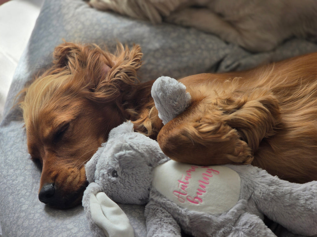 Personalised dog toy in a grey plush bunny design with dog's name and the word 'bunny' underneath. New puppy toy.