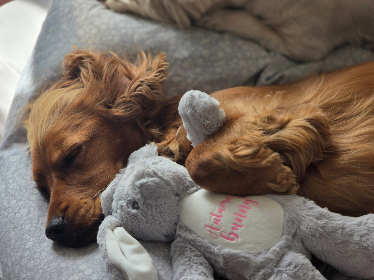 Personalised dog toy in a grey plush bunny design with dog's name and the word 'bunny' underneath. New puppy toy.