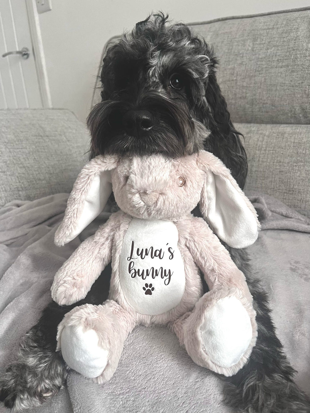 Cockapoo cuddling a personalised bunny dog toy. Thoughtful Easter dog gift and personalised toy for dogs.
