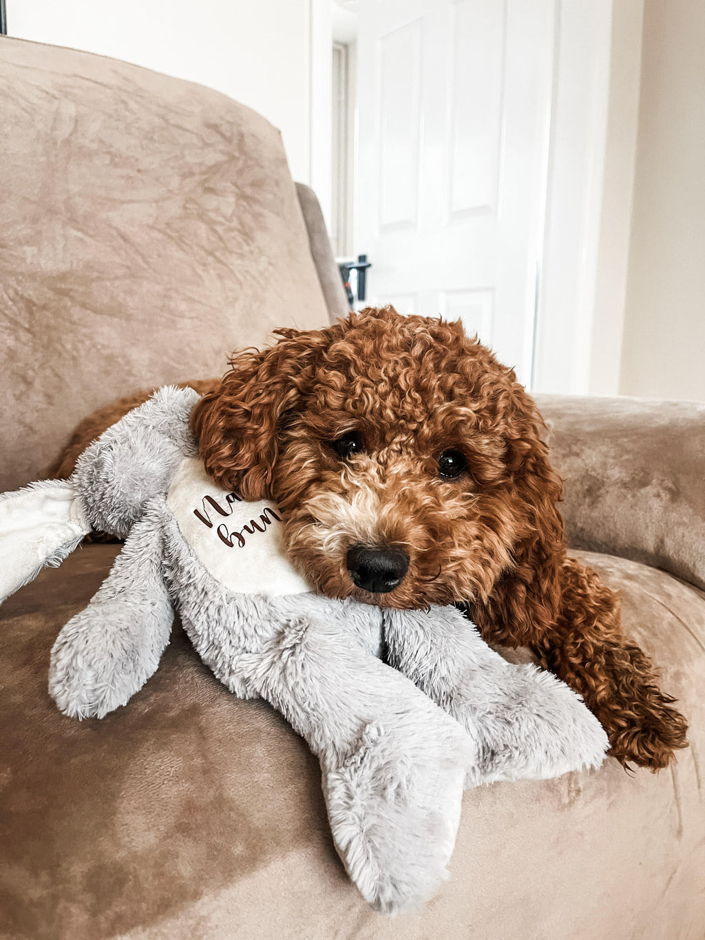 Cockapoo cuddling personalised bunny dog toy. Beautiful new puppy gift with personalised name.
