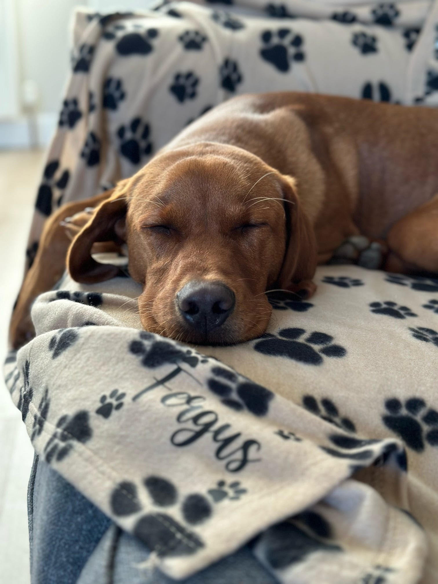 Personalised Dog Blanket