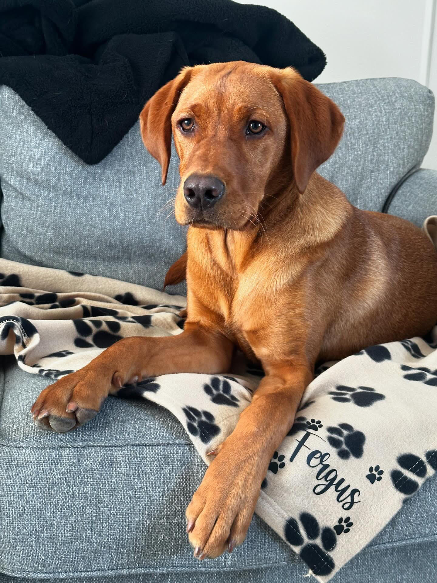 Personalised Dog Blanket