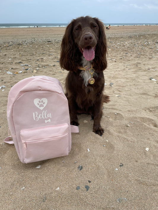 Personalised Dog Backpack