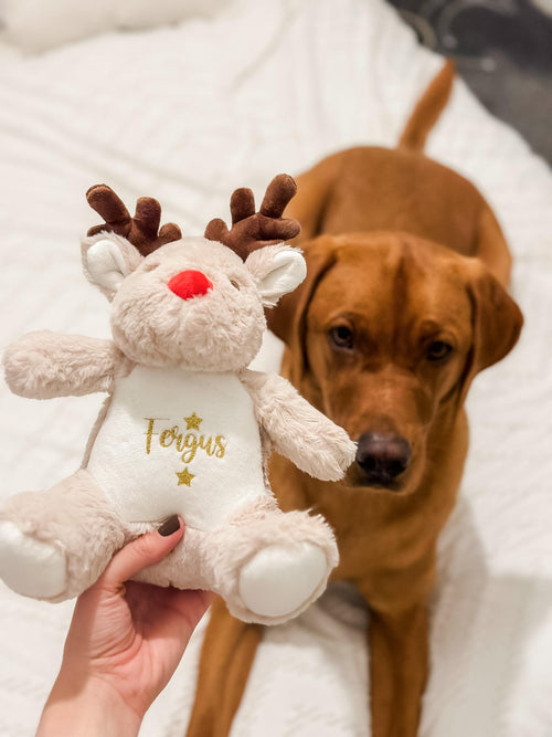 Labrador beside a personalised Christmas reindeer dog toy with custom name. Personalised dog Christmas gift and festive keepsake.