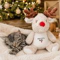 Personalised Christmas reindeer cat toy with kitten's name and bestie text, shown beside a sleeping kitten in a cosy Christmas home.
