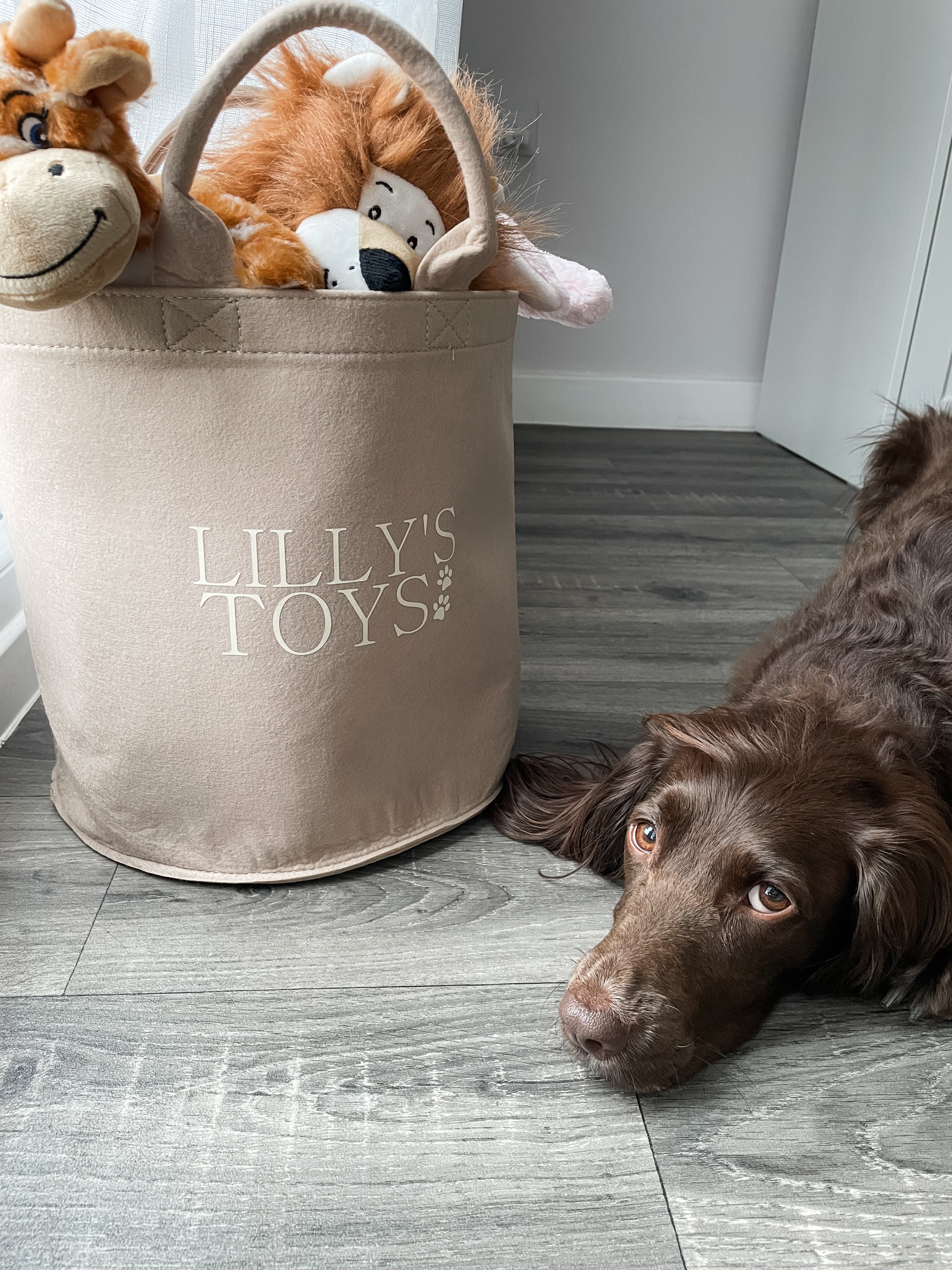 Dog lying beside a personalised neutral toy storage basket filled with favourite plush toys. 