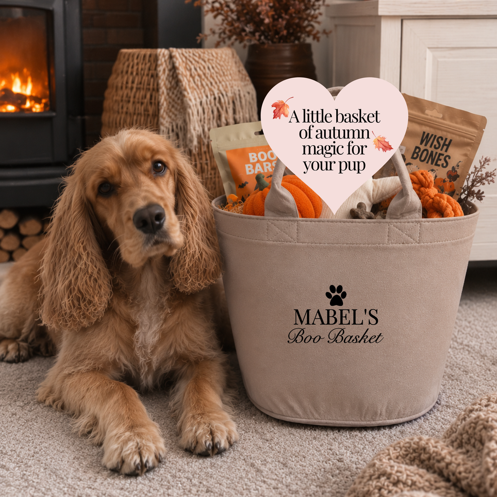 Personalised autumn dog toy basket with dog's name beside a dog, Halloween boo basket for dogs, cosy autumn dog gift and personalised pet storage basket.