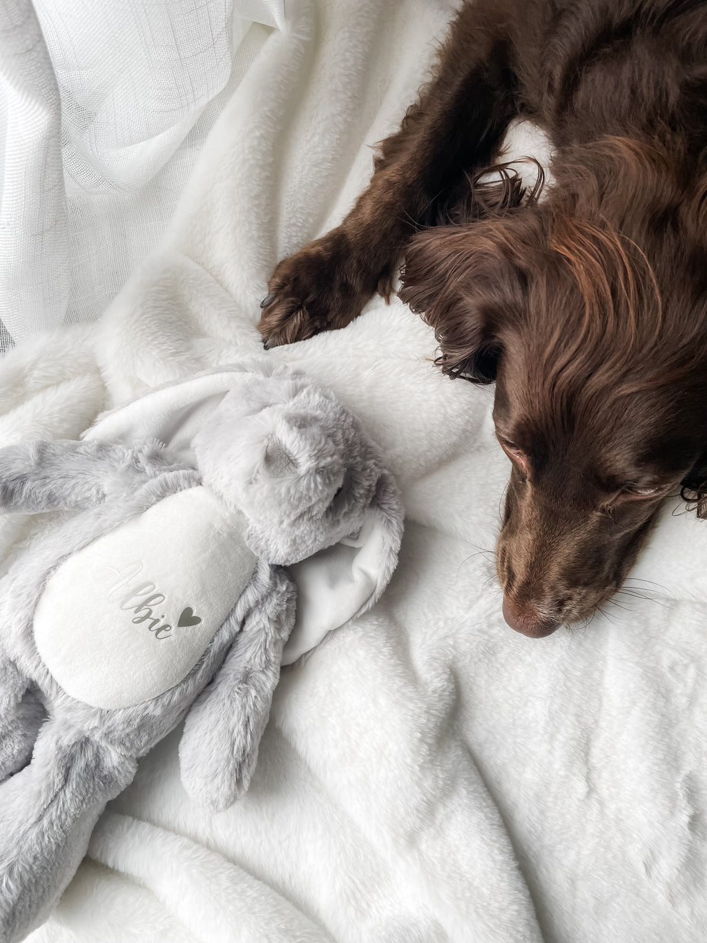 Cocker Spaniel cuddling personalised bunny toy with custom name. Personalised dog keepsake.