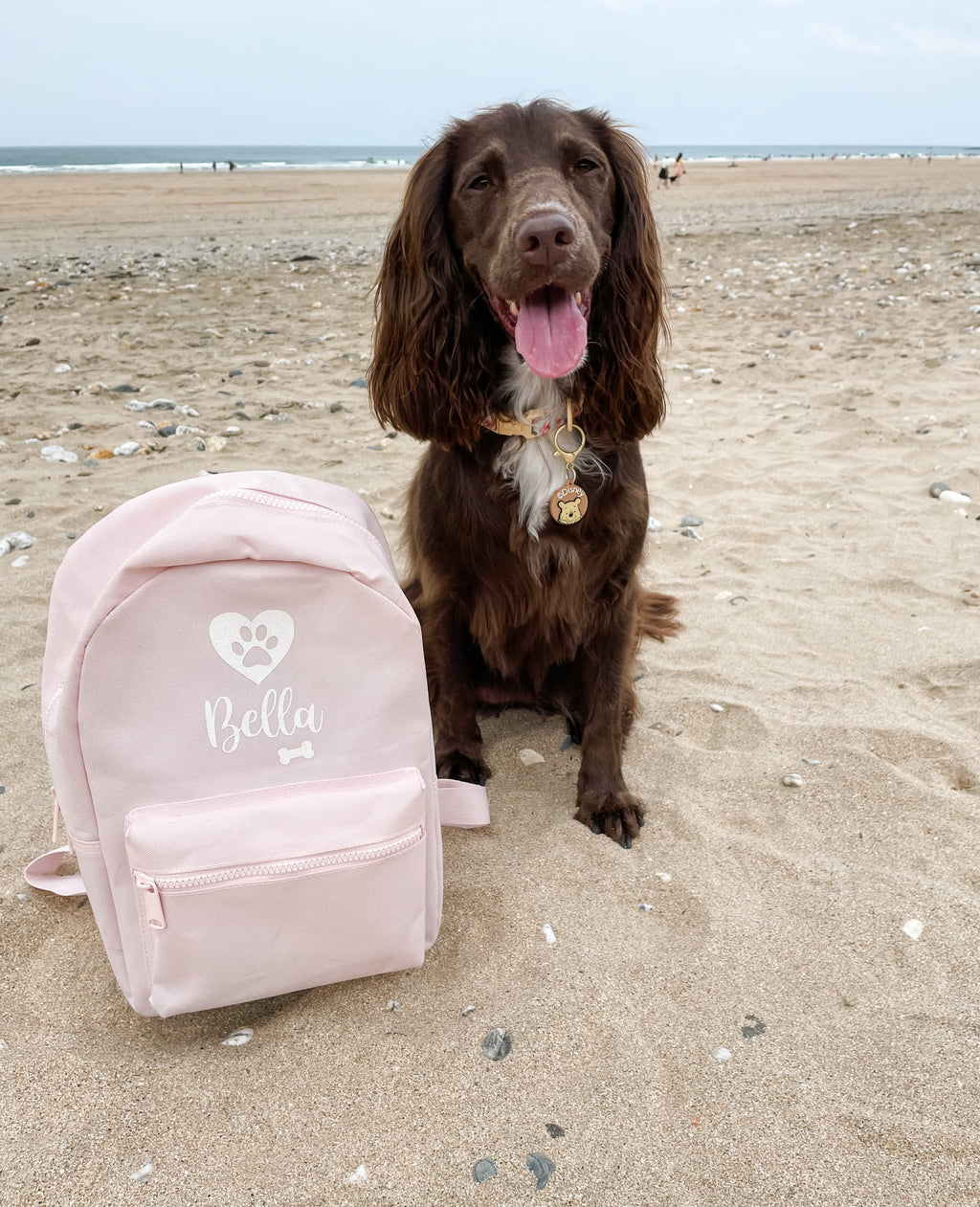 Cocker Spaniel on a sandy beach next to a pink personalised dog backpack with a white paw print and bone design. Custom dog holiday bag.