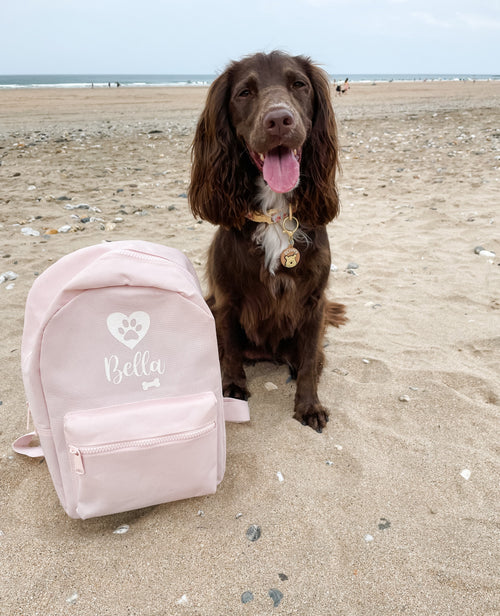 Cocker Spaniel on a sandy beach next to a pink personalised dog backpack with a white paw print and bone design. Custom dog holiday bag.