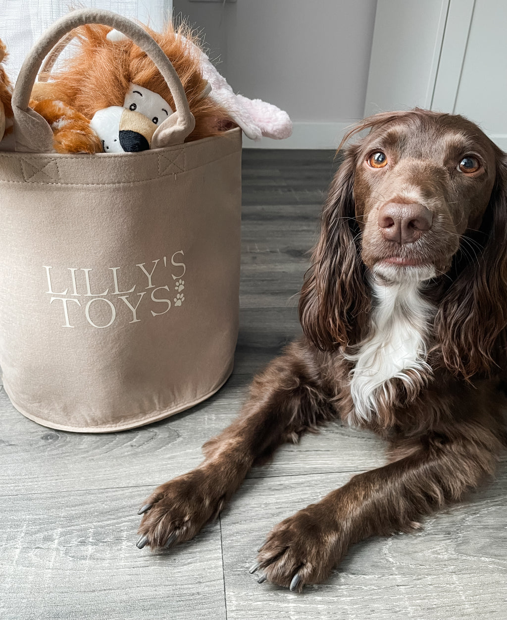 Personalised felt dog toy basket displayed in a modern home, customised with a dog's name and filled with soft toys. 