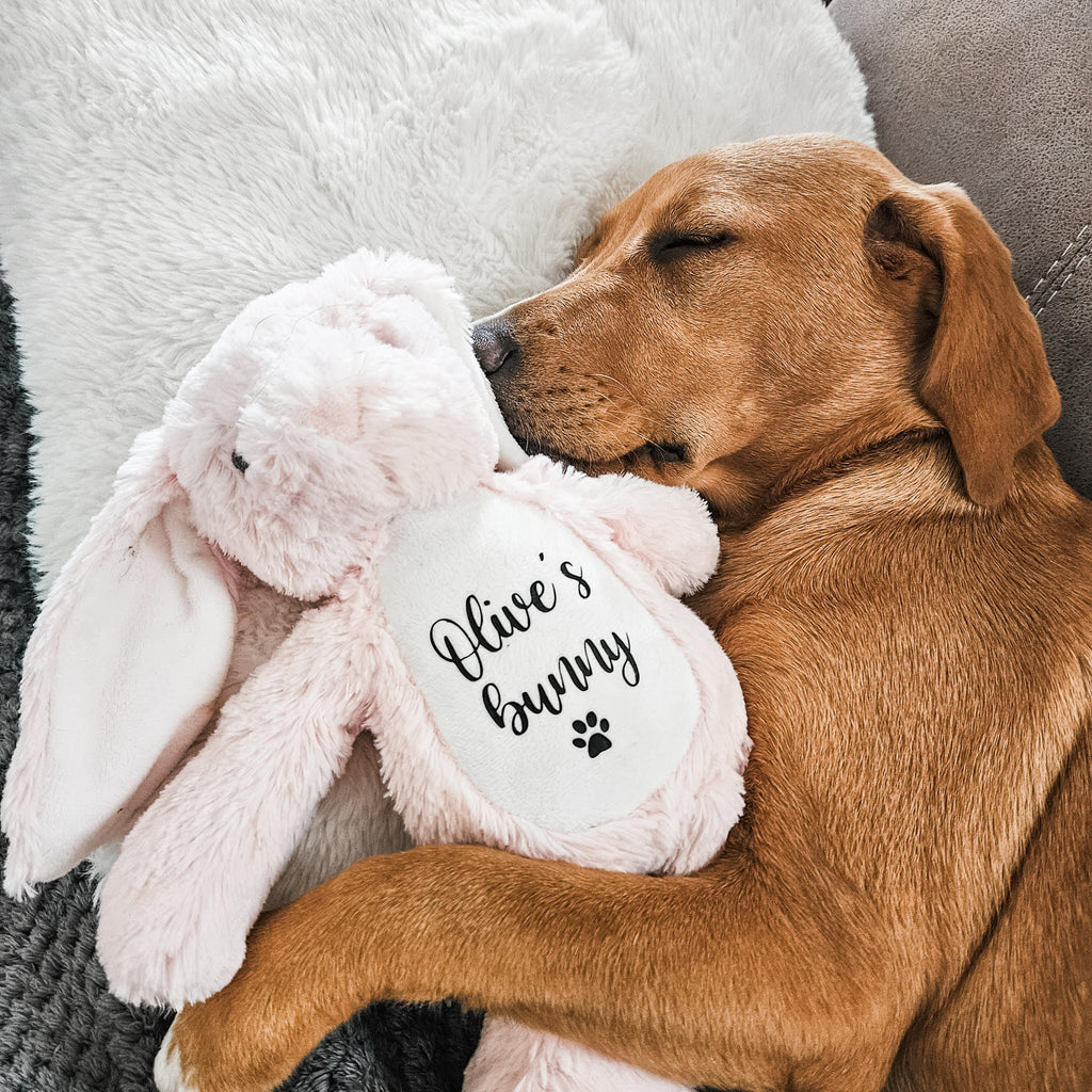 Labrador snuggling a personalised Easter bunny dog toy. Soft personalised bunny gift for dogs and puppies.