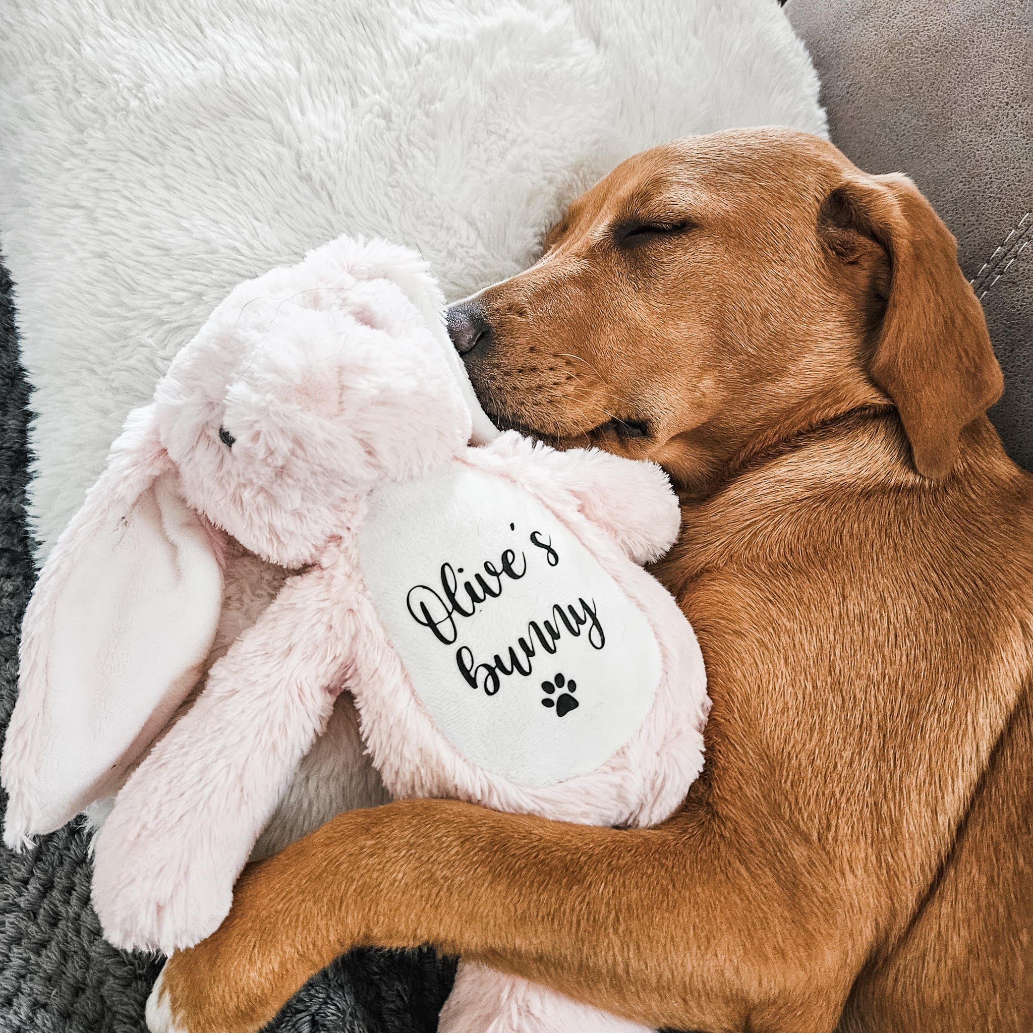 Labrador snuggling a personalised Easter bunny dog toy. Soft personalised bunny gift for dogs and puppies.