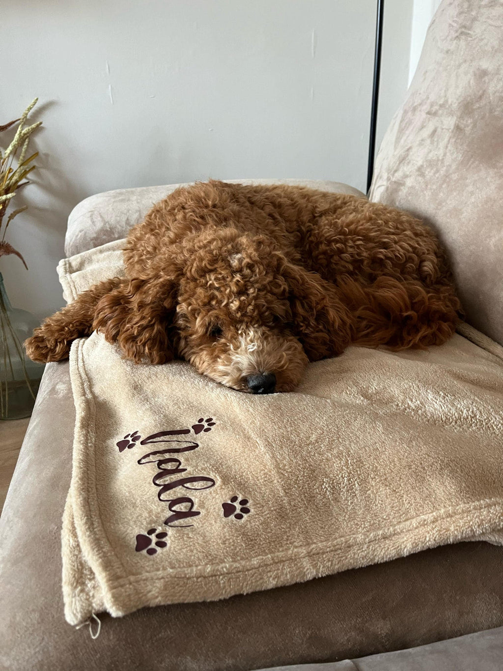 Personalised dog blanket featuring a soft, cosy fabric with custom personalisation. Available in camel, grey and charcoal. Personalised new puppy gift.