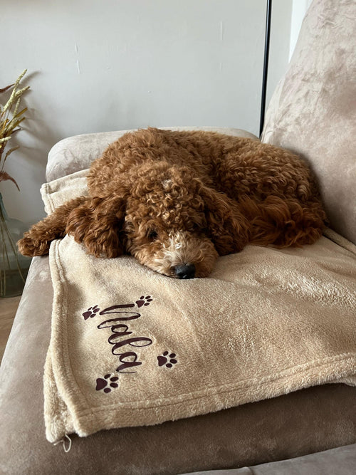Personalised dog blanket featuring a soft, cosy fabric with custom personalisation. Available in camel, grey and charcoal. Personalised new puppy gift.