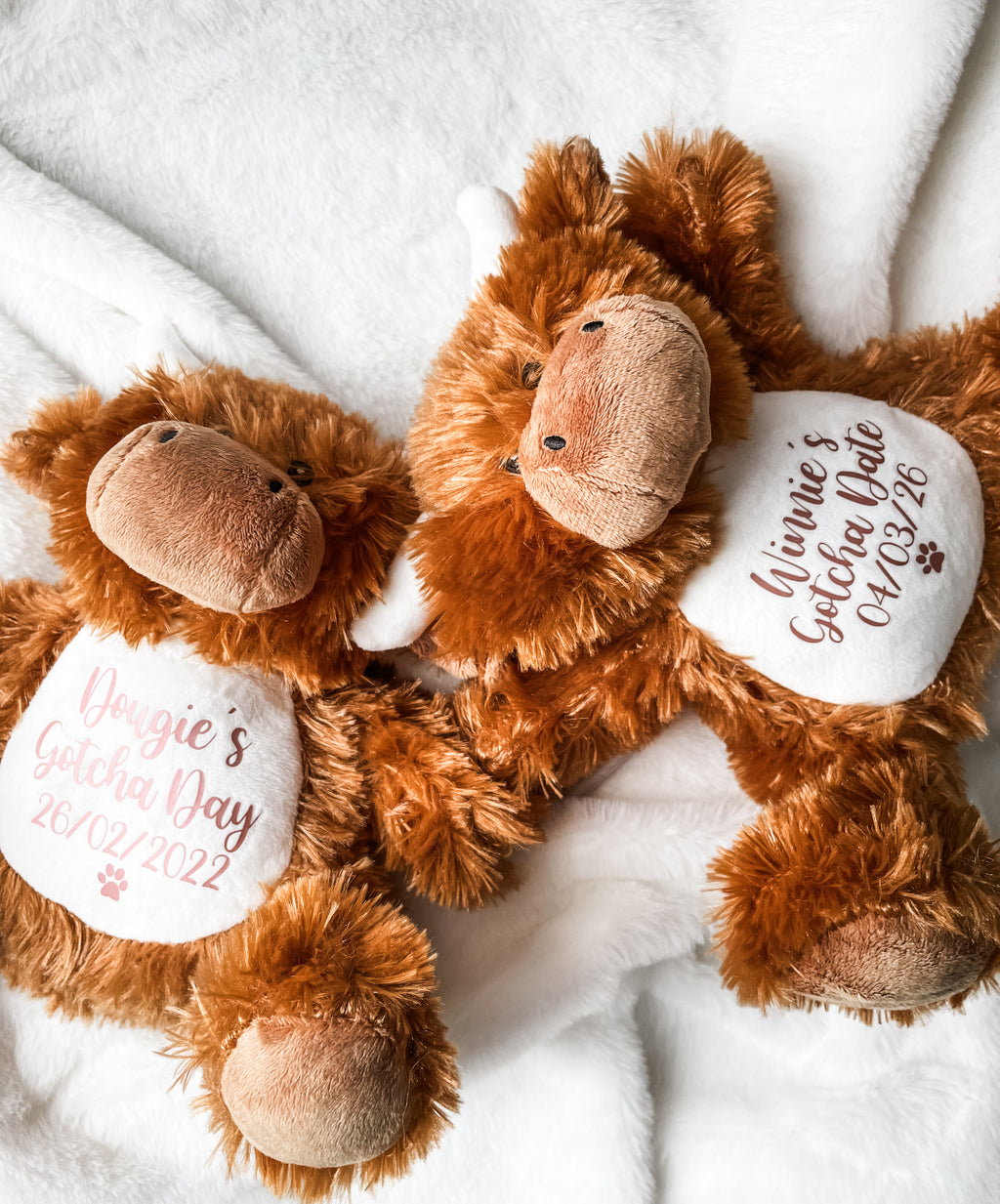 Two personalised Highland Cow Gotcha Day dog toys customised with dog's name and adoption date.