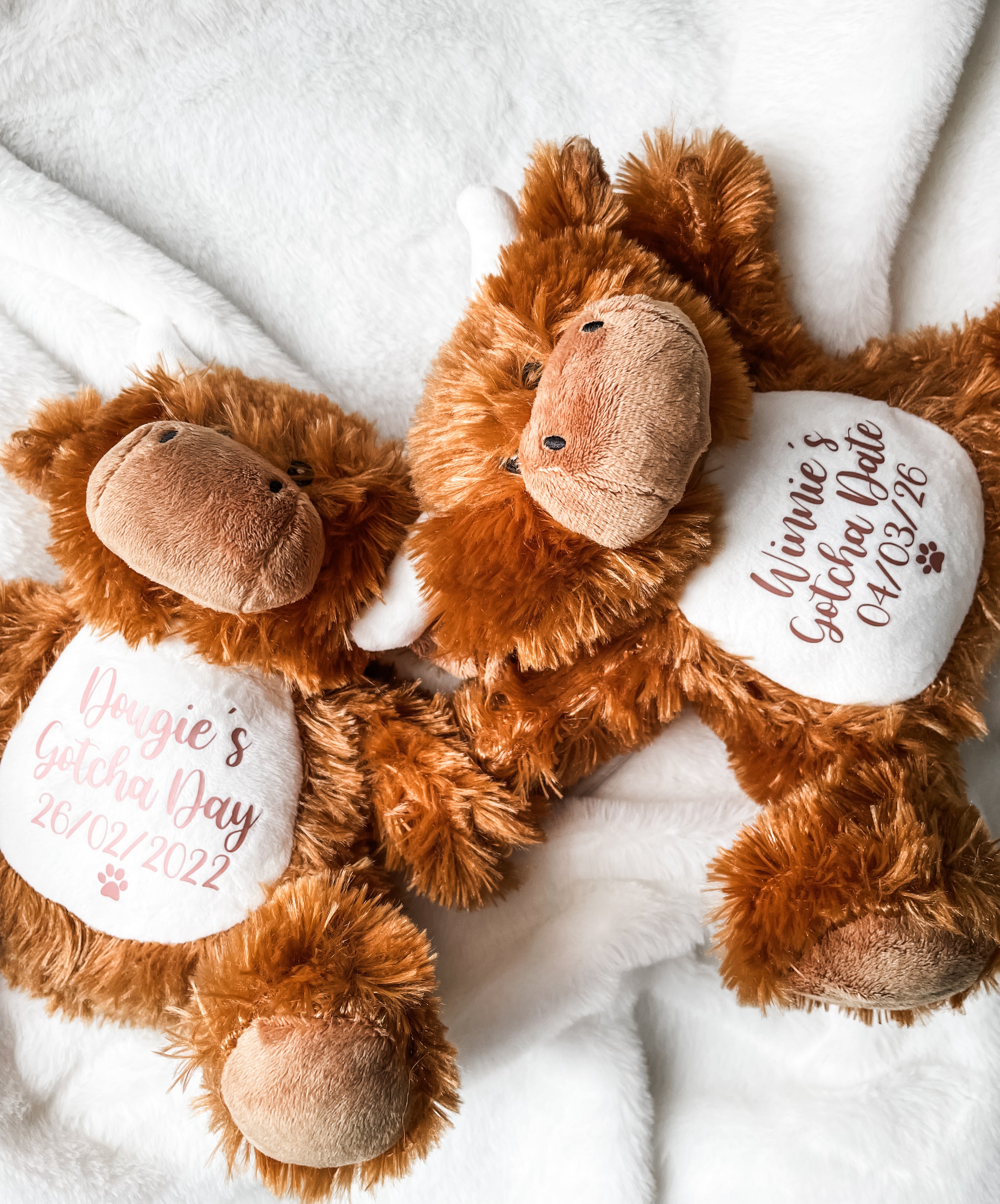 Two personalised Highland Cow Gotcha Day dog toys customised with dog's name and adoption date.