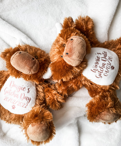 Two personalised Highland Cow Gotcha Day dog toys customised with dog's name and adoption date.