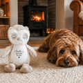 Personalised autumn owl dog toy personalised with dog's name and Autumn Bestie text, custom Halloween dog toy beside a happy dog. Personalised dog gift to celebrate the cosy season.