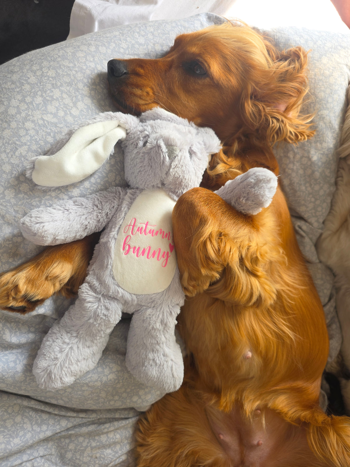 Personalised grey bunny dog toy with dog name and the word 'bunny' underneath. Custom dog toy with name.