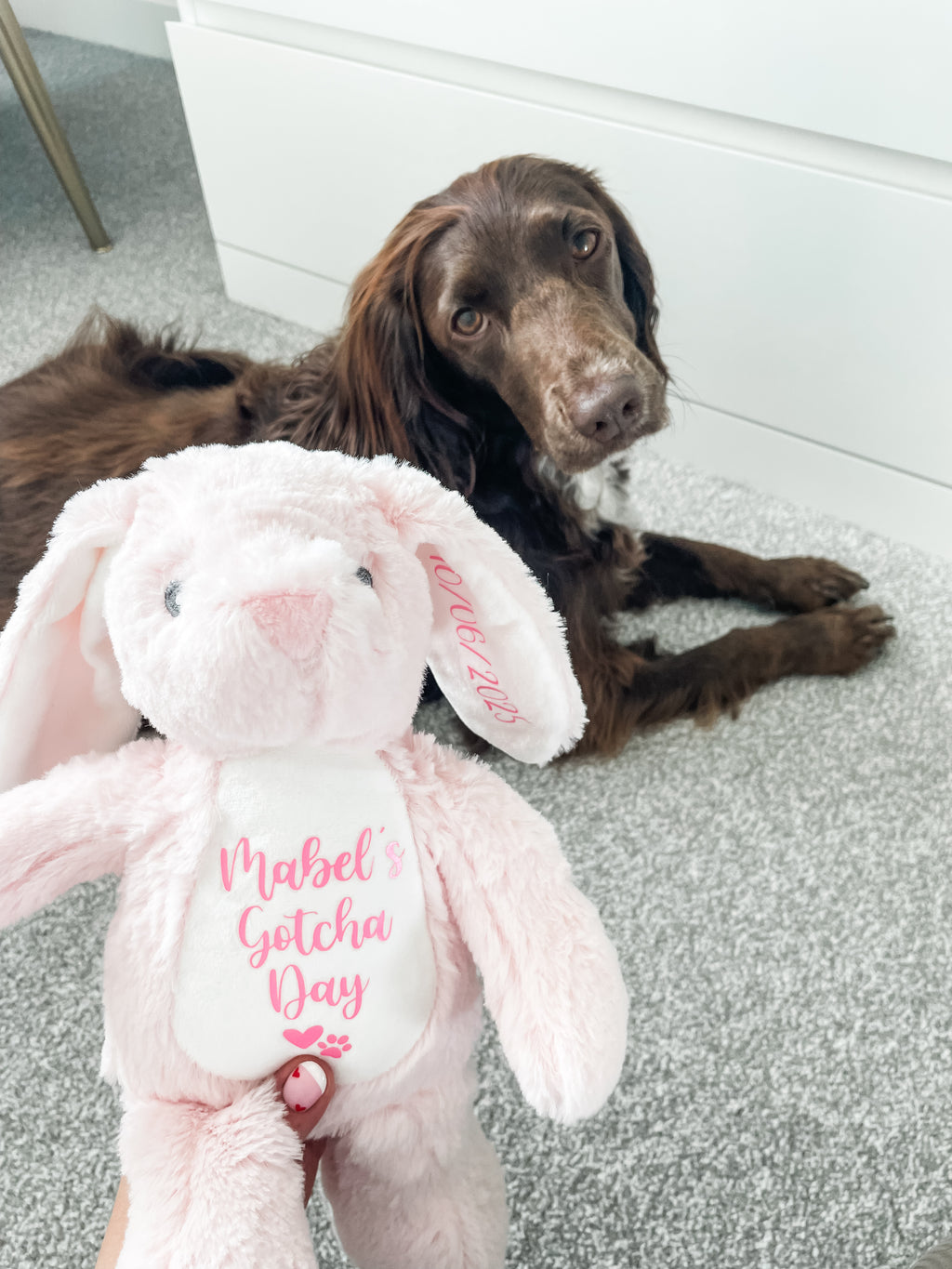 Pink personalised bunny Gotcha Day toy customised with dog's name and adoption date.