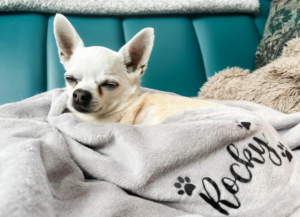 Puppy curled up on a soft personalised fleece dog blanket with custom name in a cosy home.