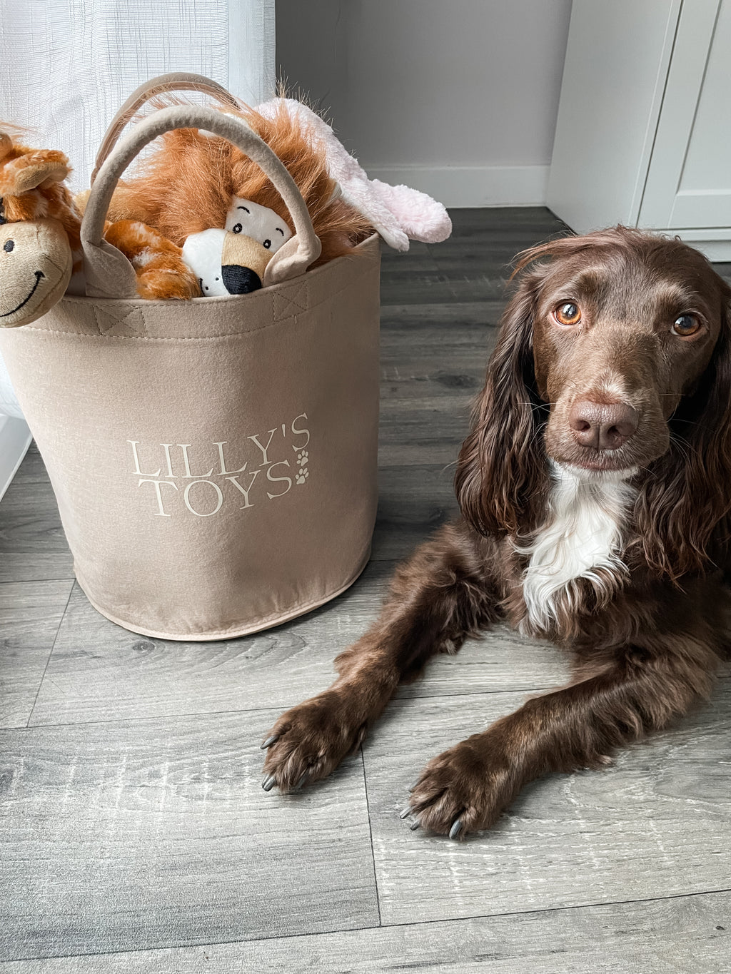 Personalised beige dog toy basket filled with plush toys beside a Cocker Spaniel. Personalised dog homeware.