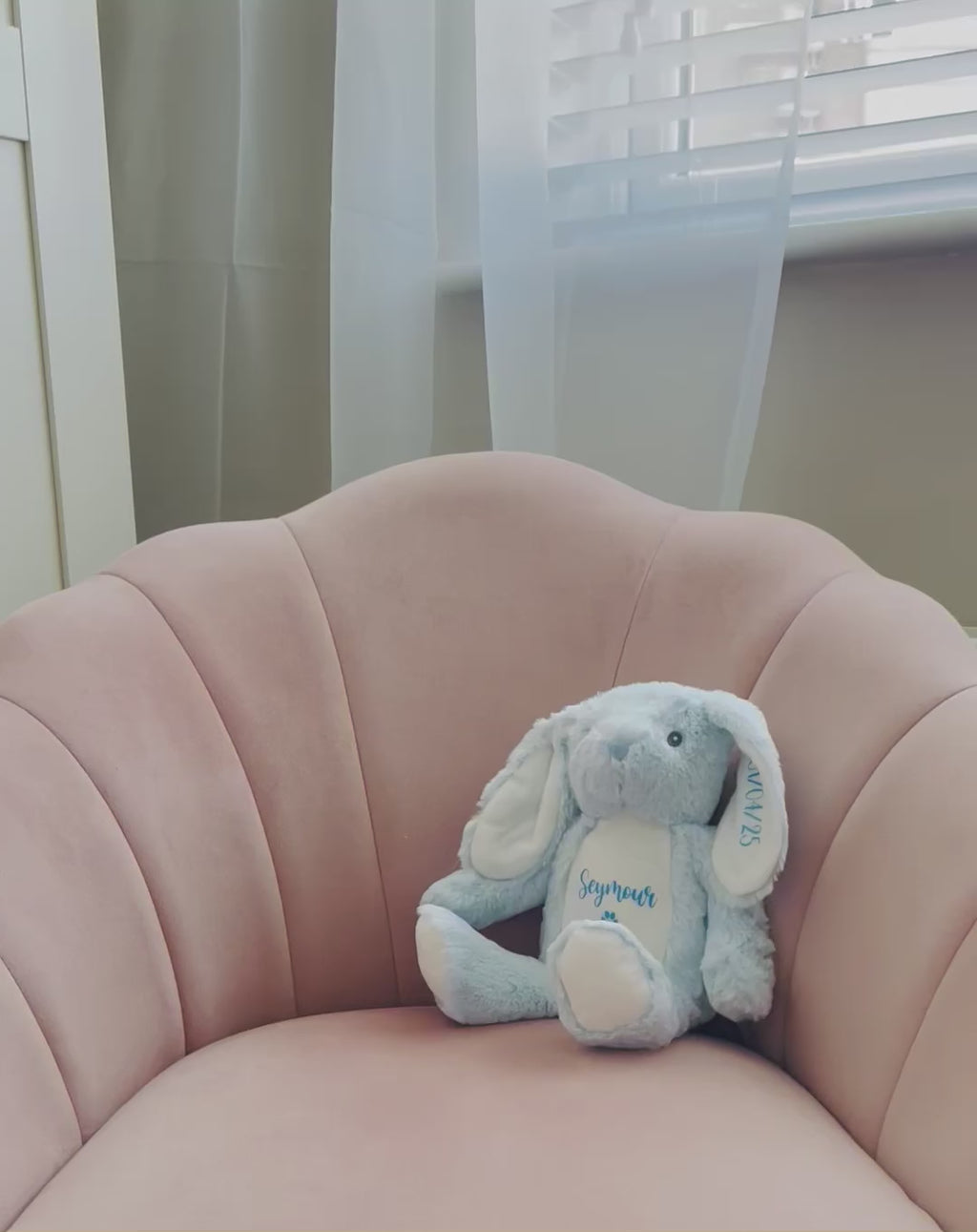 Video showing personalised pink and blue birthday bunny toys customised for dogs.