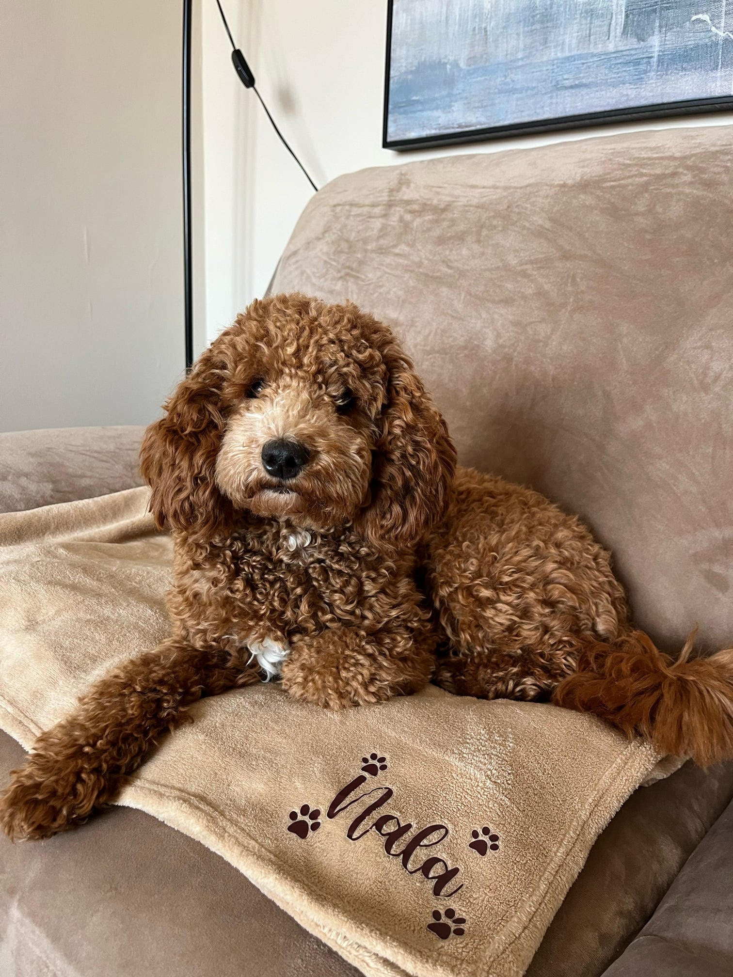 Personalised Dog Blanket