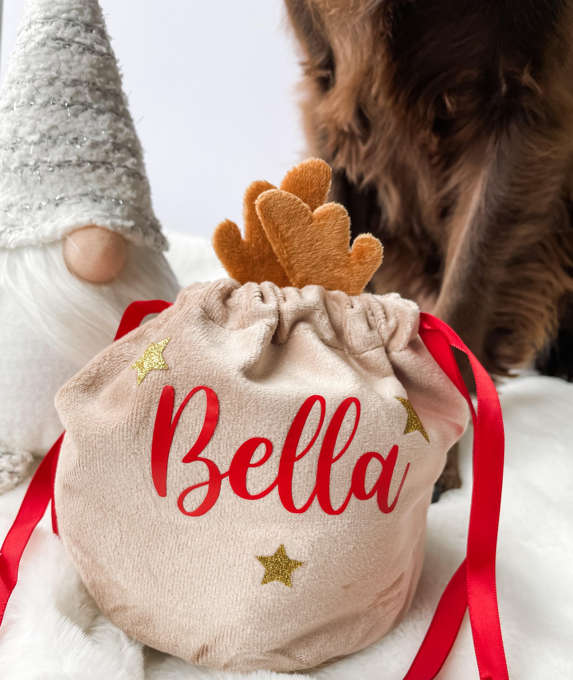 Dog Christmas Gift, Dog Christmas Treat Bag