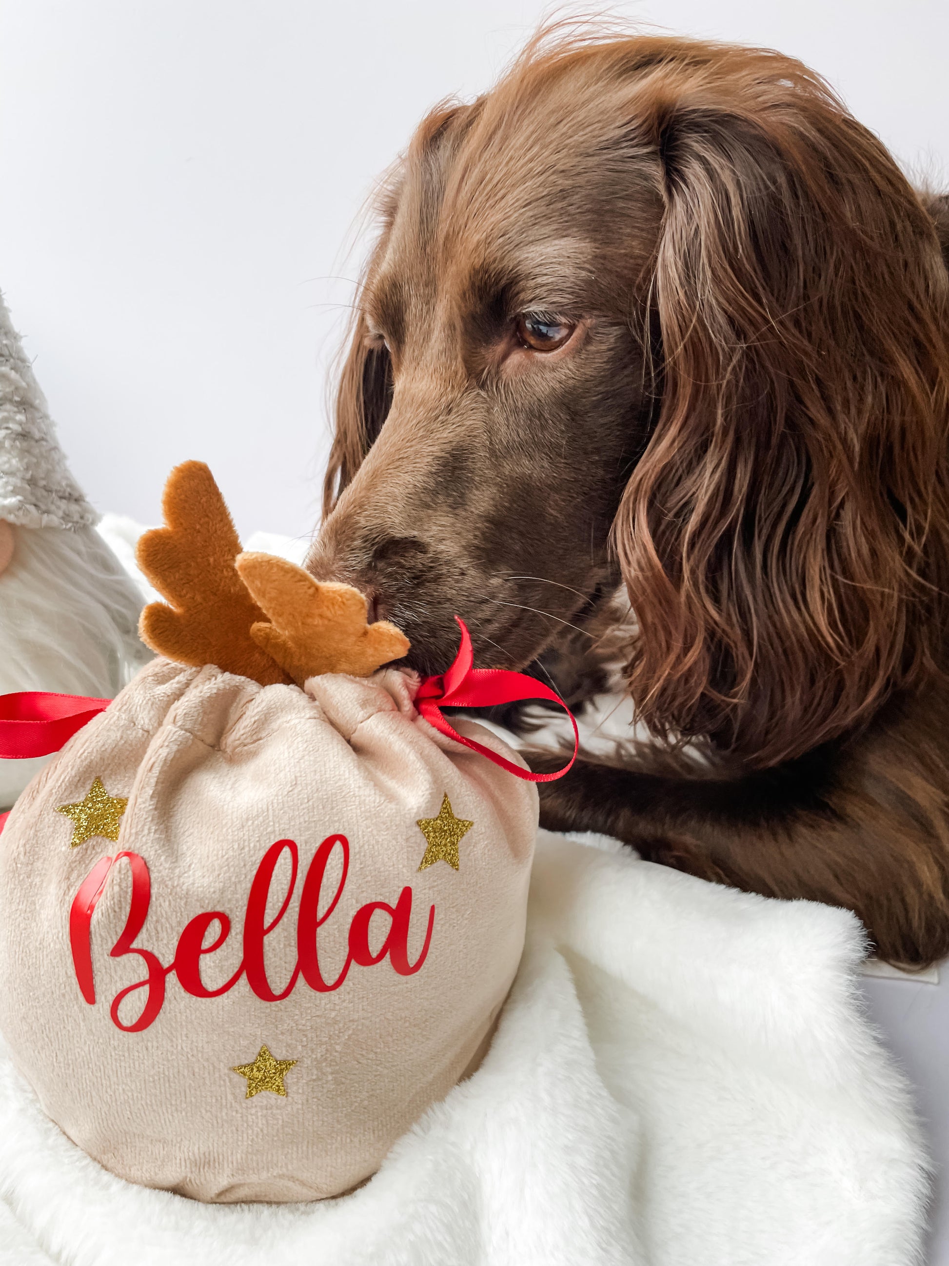 Dog Christmas Gift, Dog Christmas Treat Bag