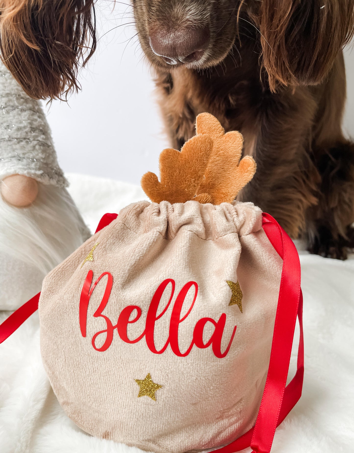 Dog Christmas Gift, Dog Christmas Treat Bag