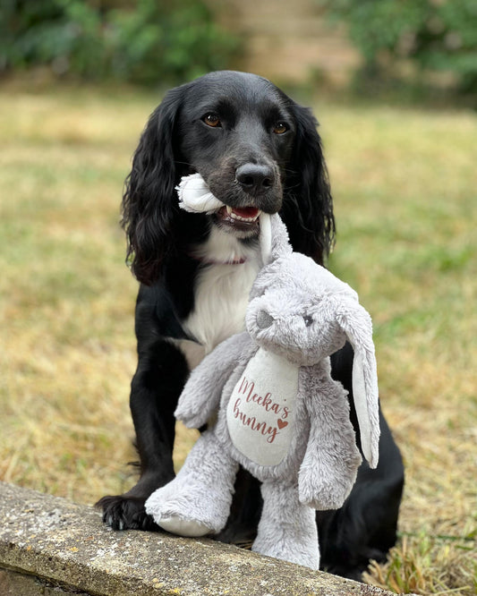 Personalised Dog Toy