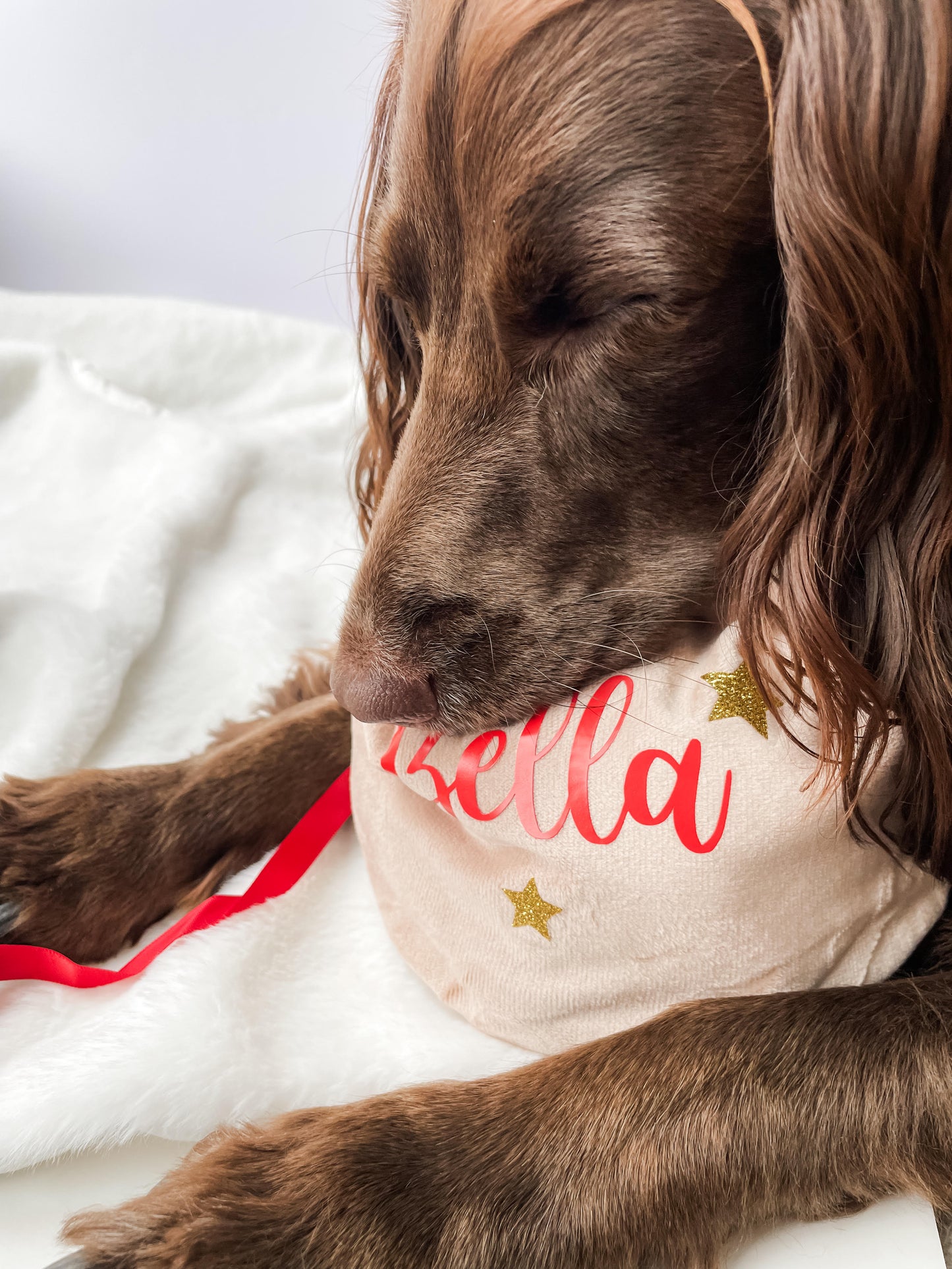 Dog Christmas Gift, Dog Christmas Treat Bag